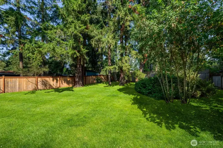 Backyard (south)  (virtually staged)