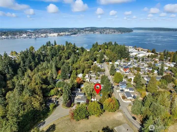 Close to Bay Street and across the street from Veterans Memorial Park - great for dogs!