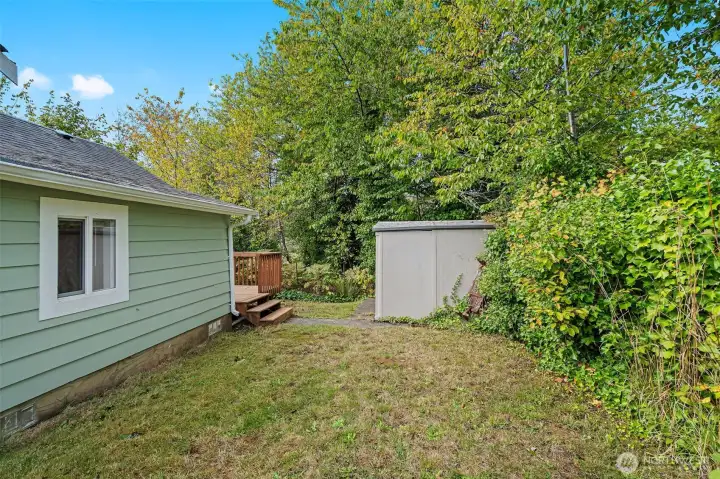 Shed in backyard