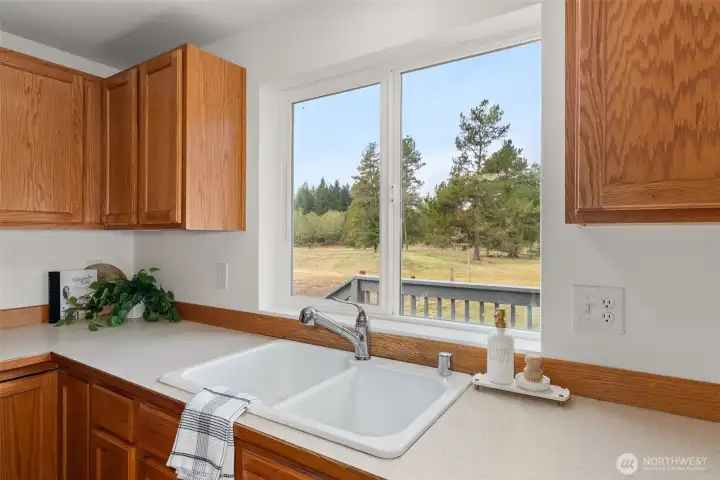 View from the kitchen sink.