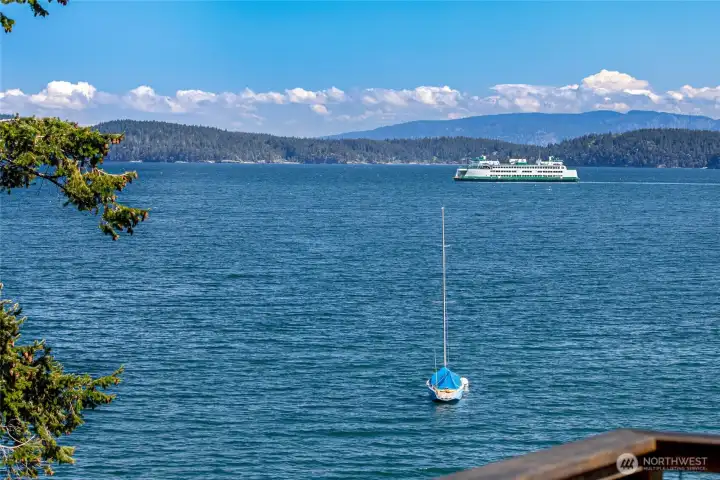Views across Shoal Bay