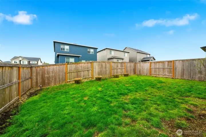 Backyard. Fenced.