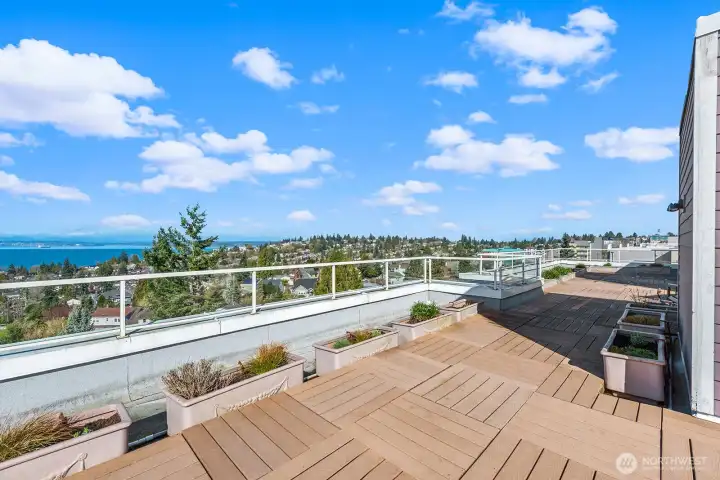 Roof top deck with grills, views for days, and garden beds.