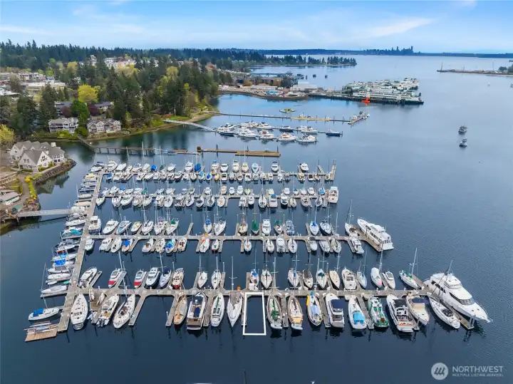 Coveted D Dock for easier water access