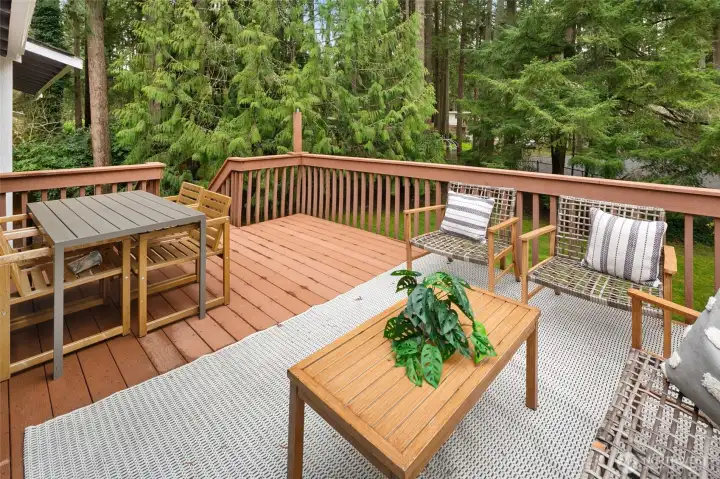 Large back deck overlooking expansive yard