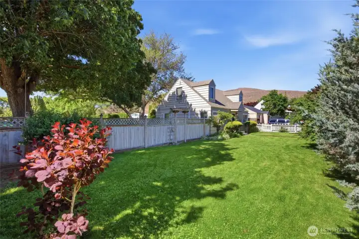 Mature Landscaping