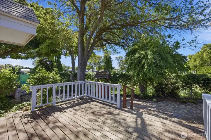 Back Deck