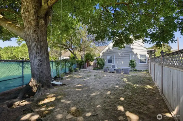 Backyard