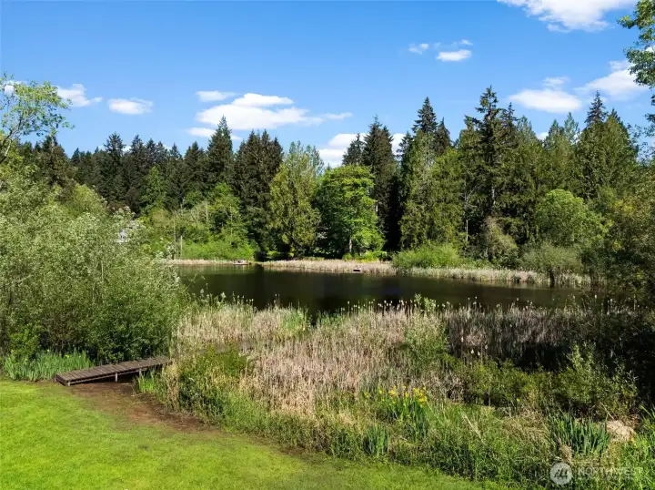Natural shoreline and surrounding greenery create a serene outdoor setting.