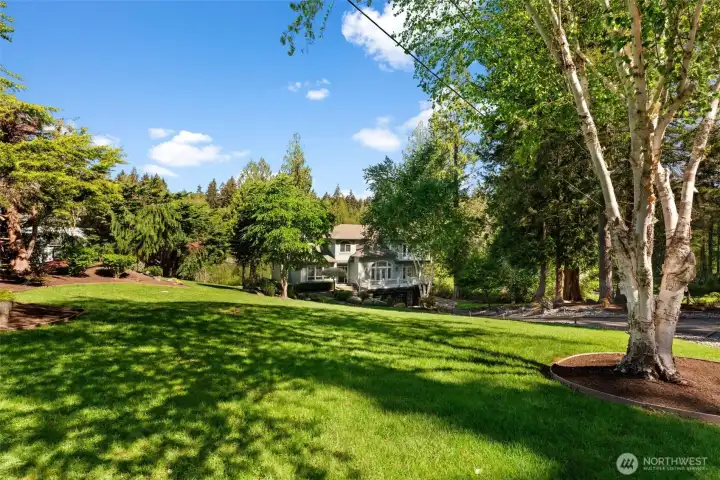 Wide open lawn and mature trees create a park-like setting surrounding the home.
