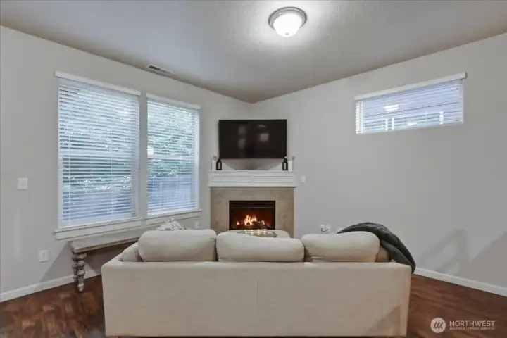 Living room, laminate flooring gas fireplace