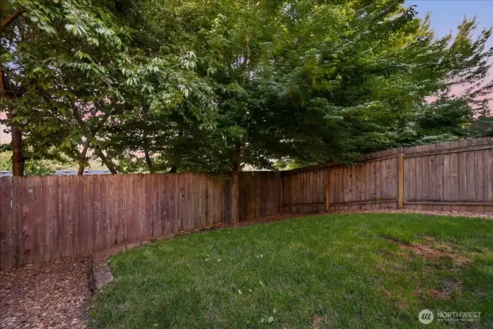 Backyard, fenced