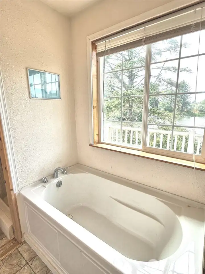 Primary soaker tub with lots of light!