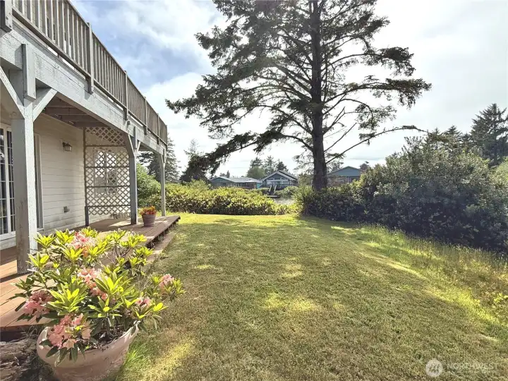 The back yard faces the canal.