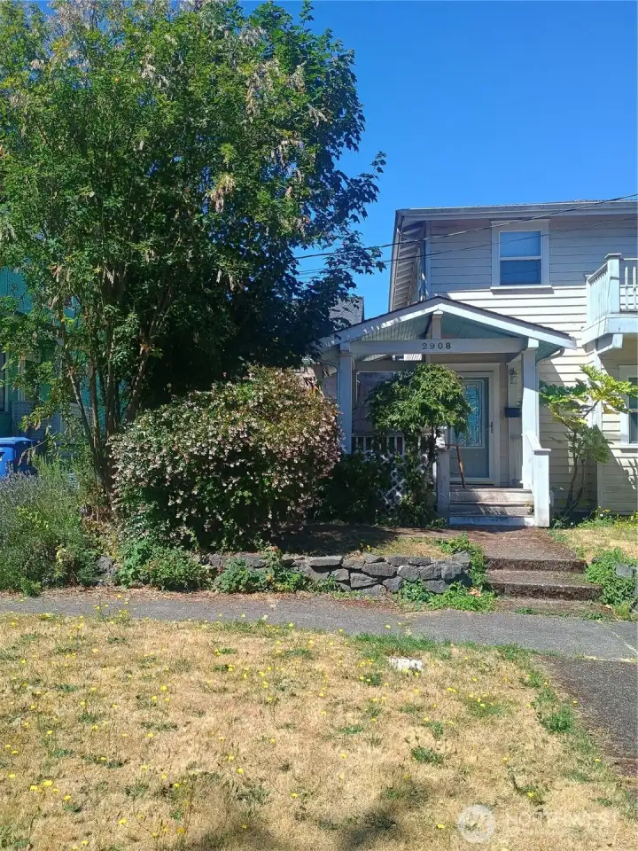 side yard 2908 N Lawrence side yard 2908 N Lawrence
