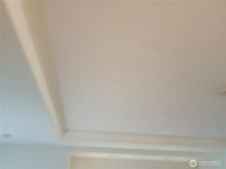 Tray ceiling LR also in DR Tray ceiling LR also in DR