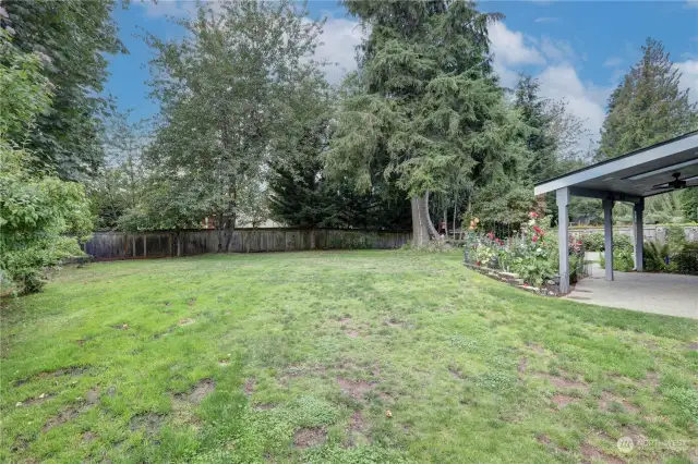 Large Fenced Backyard