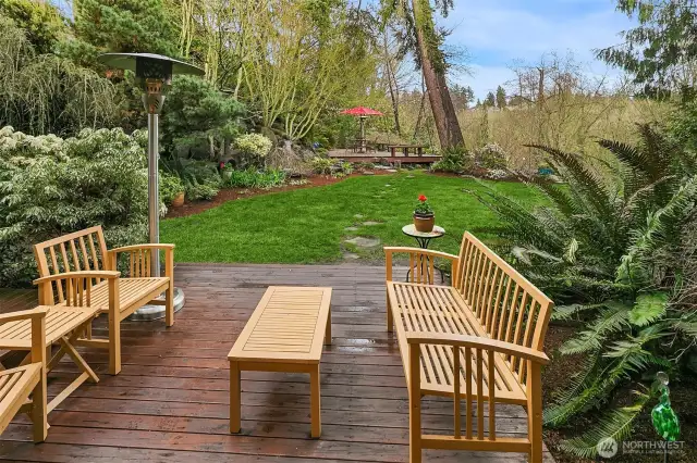 Get your first glimpse of this estate-style back yard.