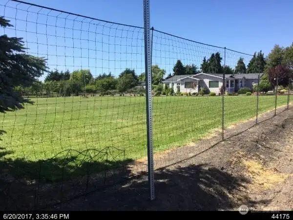 Sunny Sequim Day
