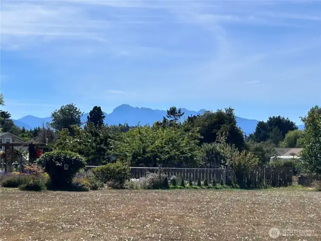 Mountain View - From Street corner of lot