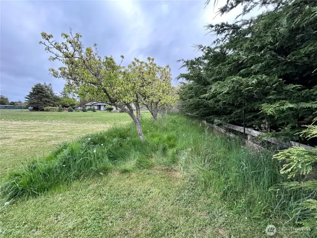 View looking directly South from NorthWest end of lot