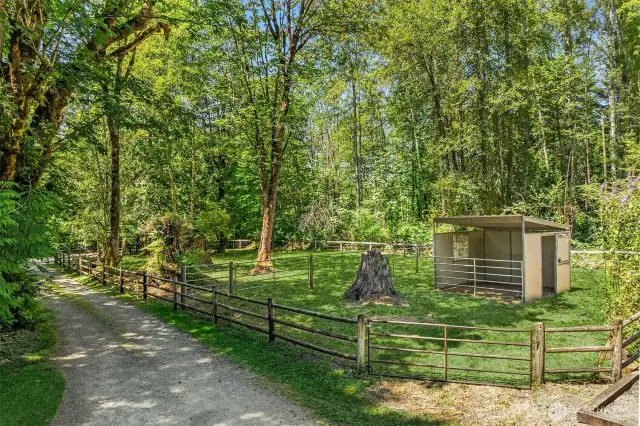 Pasture with loafing shed