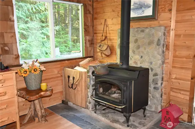 Certified Lopi wood stove ~ new 2024