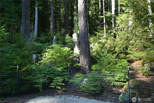 A fully fenced back yard provides a safe haven for your furry companions.