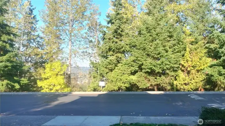 View from the house and driveway towards the valley to the west.  Beautiful sunsets to enjoy from the porch, living room and primary bedroom!