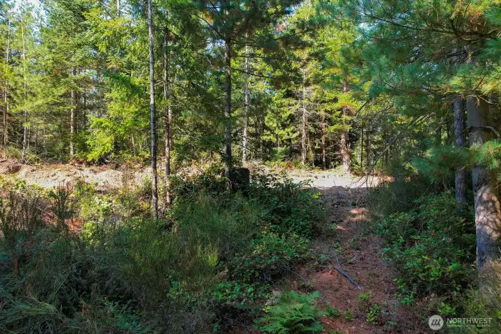 This is a view of the driveway easement from Holly Rd just at the property marker to the left in this photo.