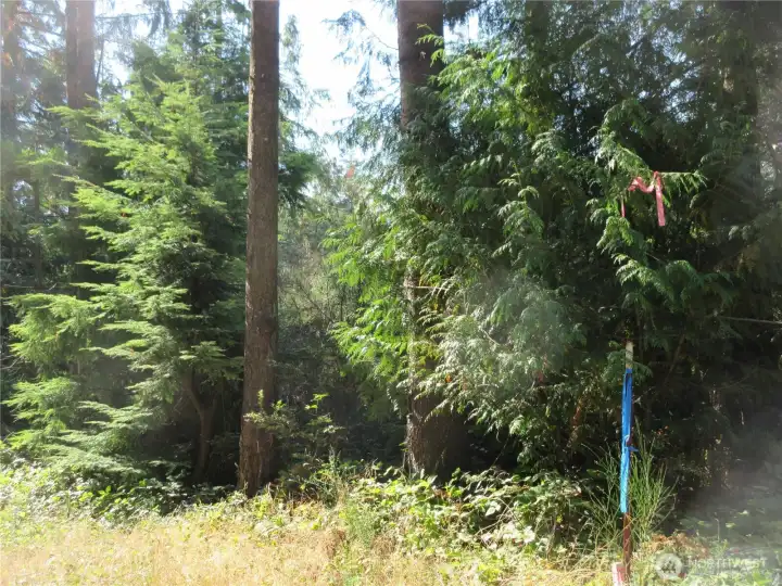 SE Marker shown on Holly Rd