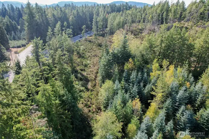 Overhead Drone Shot looking at curve of Holly Rd