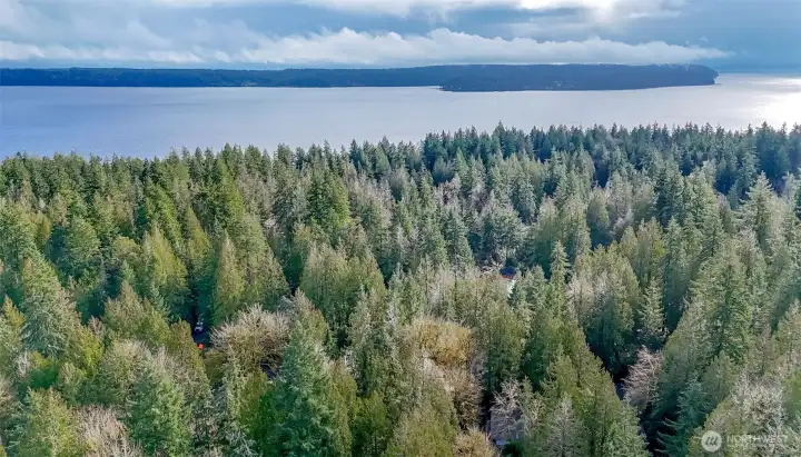 Surrounding Area overhead View