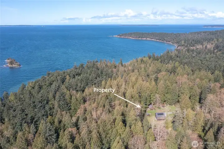 Aerial view showcasing the full 5 acre setting, with sunny open meadow, established organic gardens, and surrounding old-growth cedar forest. A secluded and peaceful island retreat.