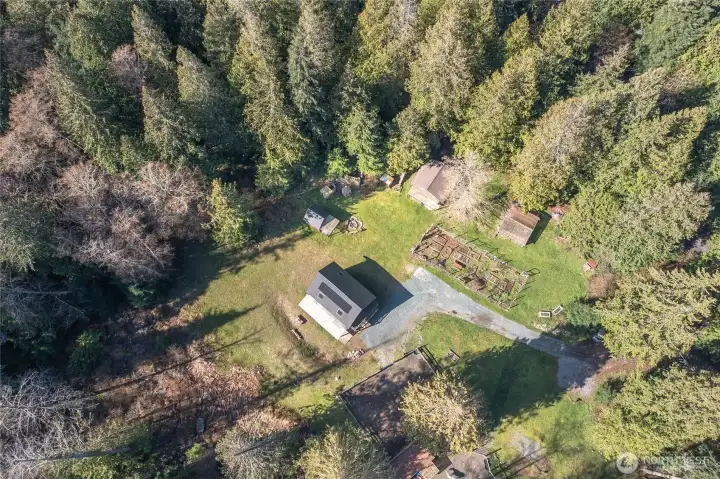 Aerial view of the sunlit, curated property set amongst surrounding old-growth cedar forest.
