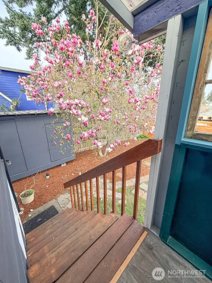 Downstairs to Beautiful and Large Backyard