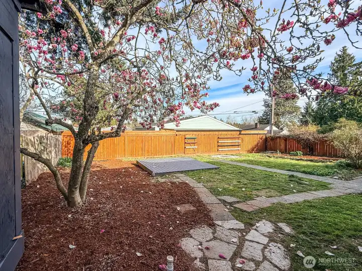 Beautiful Trees, Greenery for your Planting