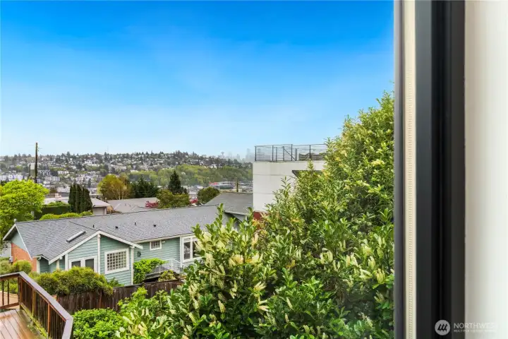 view of the seattle skyline