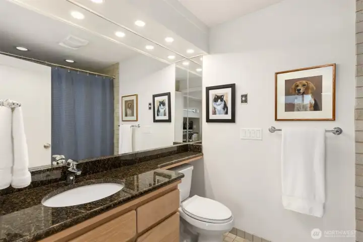 Lower level ensuite full bath.