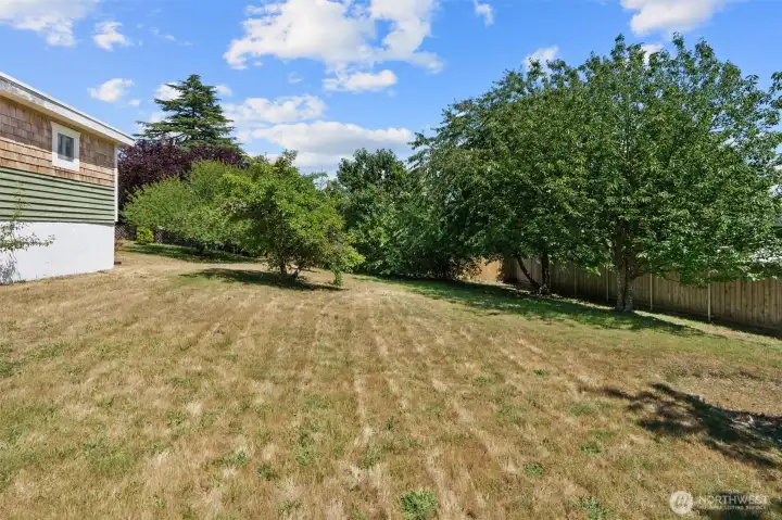 Backyard showing the 1/3 of an acre