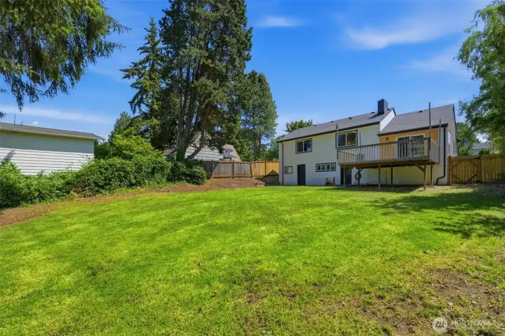 Huge 10,000sq ft lot