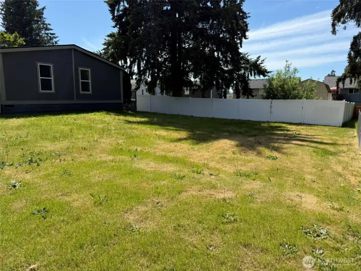 Another view of backyard