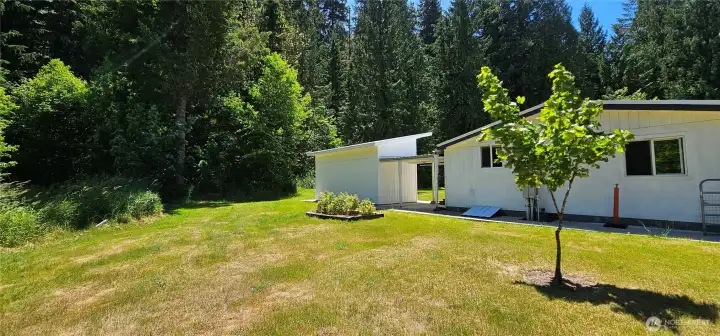 Side yard