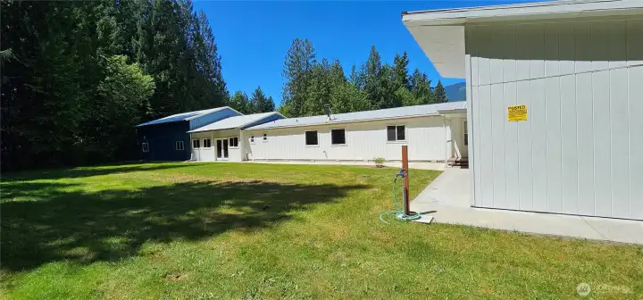 Back yard