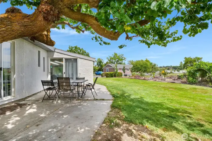 Stay and play! This is more than a large home...it's a great place for a staycation under the immense shade trees, huge backyard and lakefront where you can paddleboat, kayak, and paddleboard.