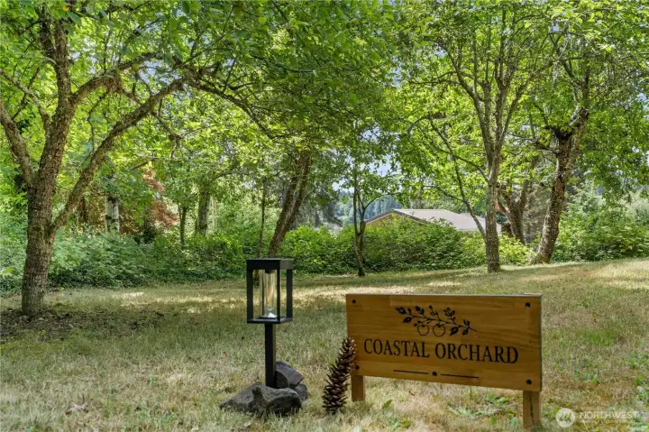 Follow the private Beach Trail leading directly to the shoreline and waterfront recreation. Follow the private Beach Trail leading directly to the shoreline and waterfront recreation.