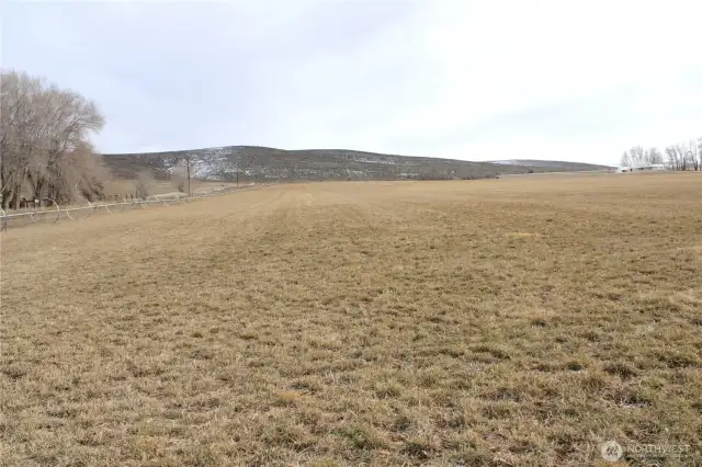 Looking east from Bare Road