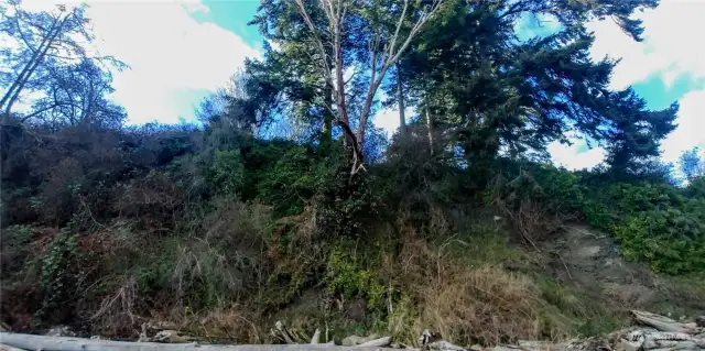 Looking up at property bluff