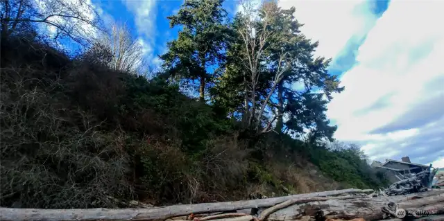 Looking up at bluff different angle