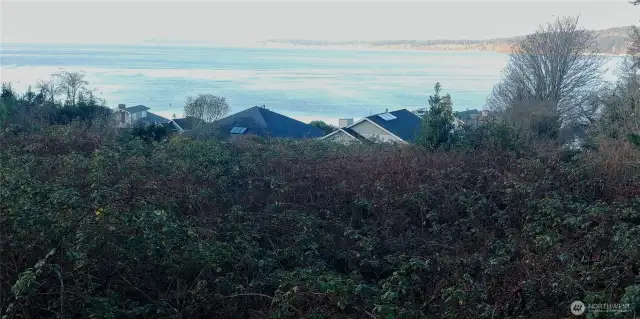 Looking North over the property 03